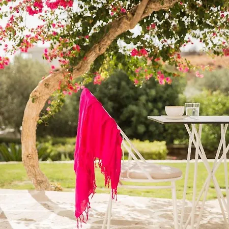 Hotel Ostria 3*