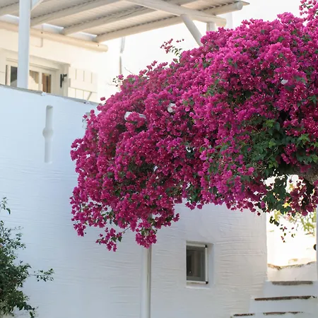 Ξενοδοχείο Ostria Μουτσούνα