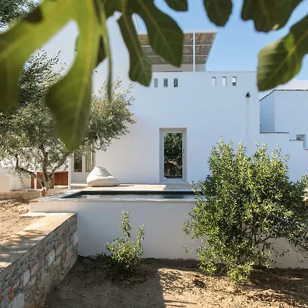 Ostria Μουτσούνα