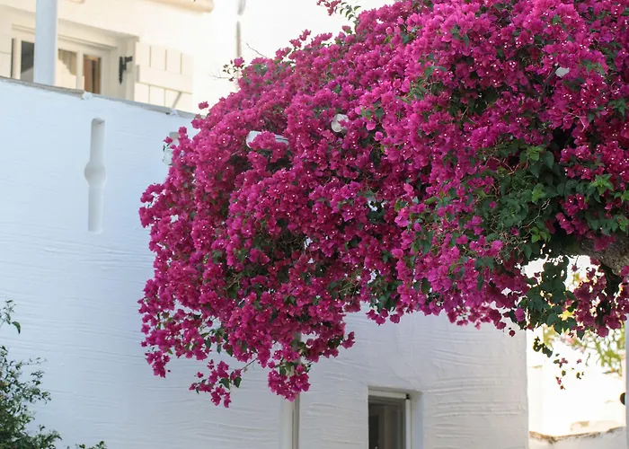 Hotel Ostria Moutsoúna